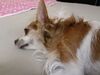 Filename=20200721_004.jpg
Filesize=370KiB
Dimensions=2048x1536
Date added=Dec 21, 2020 20200721_004.jpg