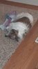 Filename=20200801_001.jpg
Filesize=264KiB
Dimensions=1152x2048
Date added=Nov 07, 2021 20200801_001.jpg
