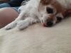 Filename=20200814_001.jpg
Filesize=400KiB
Dimensions=2048x1536
Date added=Dec 21, 2020 20200814_001.jpg