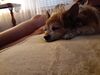 Filename=20200819_001.jpg
Filesize=334KiB
Dimensions=2048x1536
Date added=Dec 21, 2020 20200819_001.jpg