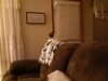 Filename=20200906_003.jpg
Filesize=433KiB
Dimensions=2048x1536
Date added=Dec 27, 2020 20200906_003.jpg