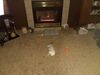 Filename=20200908_001.jpg
Filesize=550KiB
Dimensions=2048x1536
Date added=Dec 27, 2020 20200908_001.jpg