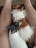 Filename=20200914_002.jpg
Filesize=467KiB
Dimensions=1536x2048
Date added=Dec 27, 2020 20200914_002.jpg