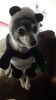Filename=20200922_004.jpg
Filesize=212KiB
Dimensions=1152x2048
Date added=Nov 07, 2021 20200922_004.jpg