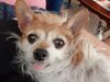 Filename=20200925_001.jpg
Filesize=425KiB
Dimensions=2048x1536
Date added=Dec 27, 2020 20200925_001.jpg