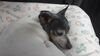 Filename=20200926_000b.jpg
Filesize=327KiB
Dimensions=2048x1152
Date added=Nov 07, 2021 20200926_000b.jpg