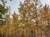 Filename=20200926_020.jpg
Filesize=991KiB
Dimensions=2048x1536
Date added=Dec 27, 2020 20200926_020.jpg