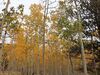 Filename=20200926_021.jpg
Filesize=1083KiB
Dimensions=2048x1536
Date added=Dec 27, 2020 20200926_021.jpg