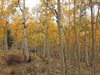 Filename=20200926_025.jpg
Filesize=1093KiB
Dimensions=2048x1536
Date added=Dec 27, 2020 20200926_025.jpg