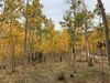 Filename=20200926_029.jpg
Filesize=987KiB
Dimensions=2048x1536
Date added=Dec 27, 2020 20200926_029.jpg
