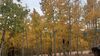 Filename=20200926_034a.jpg
Filesize=796KiB
Dimensions=2048x1152
Date added=Nov 07, 2021 20200926_034a.jpg