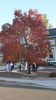Filename=20201006_001.jpg
Filesize=497KiB
Dimensions=1152x2048
Date added=Nov 07, 2021 20201006_001.jpg