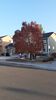 Filename=20201006_002.jpg
Filesize=478KiB
Dimensions=1152x2048
Date added=Nov 07, 2021 20201006_002.jpg