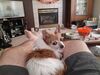 Filename=20201016_001.jpg
Filesize=508KiB
Dimensions=2048x1536
Date added=May 21, 2021 20201016_001.jpg