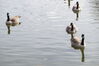 Filename=20201017_009.jpg
Filesize=231KiB
Dimensions=2047x1360
Date added=May 21, 2021 20201017_009.jpg