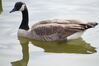Filename=20201017_010.jpg
Filesize=224KiB
Dimensions=2047x1360
Date added=May 21, 2021 20201017_010.jpg