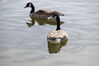 Filename=20201017_011.jpg
Filesize=183KiB
Dimensions=2047x1360
Date added=May 21, 2021 20201017_011.jpg
