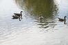 Filename=20201017_015.jpg
Filesize=413KiB
Dimensions=2047x1360
Date added=May 21, 2021 20201017_015.jpg