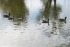 Filename=20201017_016.jpg
Filesize=480KiB
Dimensions=2047x1360
Date added=May 21, 2021 20201017_016.jpg