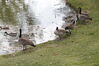 Filename=20201017_019.jpg
Filesize=663KiB
Dimensions=2047x1360
Date added=May 21, 2021 20201017_019.jpg