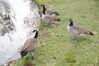 Filename=20201017_025.jpg
Filesize=782KiB
Dimensions=2047x1360
Date added=May 21, 2021 20201017_025.jpg