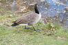 Filename=20201017_026.jpg
Filesize=644KiB
Dimensions=2047x1360
Date added=May 21, 2021 20201017_026.jpg