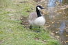 Filename=20201017_027.jpg
Filesize=666KiB
Dimensions=2047x1360
Date added=May 21, 2021 20201017_027.jpg