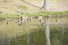 Filename=20201017_039.jpg
Filesize=513KiB
Dimensions=2047x1360
Date added=May 21, 2021 20201017_039.jpg