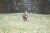 Filename=20201017_060.jpg
Filesize=463KiB
Dimensions=2047x1360
Date added=May 21, 2021 20201017_060.jpg