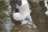 Filename=20201017_070.jpg
Filesize=399KiB
Dimensions=2047x1360
Date added=May 21, 2021 20201017_070.jpg