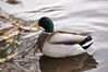 Filename=20201017_071.jpg
Filesize=359KiB
Dimensions=2047x1360
Date added=May 21, 2021 20201017_071.jpg