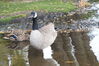 Filename=20201017_072.jpg
Filesize=437KiB
Dimensions=2047x1360
Date added=May 21, 2021 20201017_072.jpg