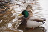 Filename=20201017_074.jpg
Filesize=394KiB
Dimensions=2047x1360
Date added=May 21, 2021 20201017_074.jpg