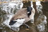 Filename=20201017_075.jpg
Filesize=426KiB
Dimensions=2047x1360
Date added=May 21, 2021 20201017_075.jpg