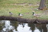 Filename=20201017_079.jpg
Filesize=736KiB
Dimensions=2047x1360
Date added=May 21, 2021 20201017_079.jpg