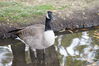 Filename=20201017_080.jpg
Filesize=440KiB
Dimensions=2047x1360
Date added=May 21, 2021 20201017_080.jpg