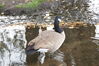 Filename=20201017_082.jpg
Filesize=509KiB
Dimensions=2047x1360
Date added=May 21, 2021 20201017_082.jpg