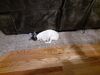 Filename=20201119_002.jpg
Filesize=684KiB
Dimensions=2048x1536
Date added=May 23, 2021 20201119_002.jpg