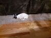 Filename=20201119_003.jpg
Filesize=491KiB
Dimensions=2048x1536
Date added=May 23, 2021 20201119_003.jpg