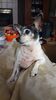 Filename=20201121_001.jpg
Filesize=318KiB
Dimensions=1152x2048
Date added=Nov 07, 2021 20201121_001.jpg