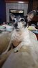 Filename=20201121_003.jpg
Filesize=334KiB
Dimensions=1152x2048
Date added=Nov 07, 2021 20201121_003.jpg