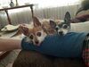 Filename=20201125_002.jpg
Filesize=431KiB
Dimensions=2048x1536
Date added=May 23, 2021 20201125_002.jpg