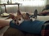 Filename=20201125_003.jpg
Filesize=434KiB
Dimensions=2048x1536
Date added=May 23, 2021 20201125_003.jpg