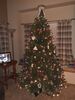 Filename=20201126_003.jpg
Filesize=478KiB
Dimensions=1536x2048
Date added=May 23, 2021 20201126_003.jpg