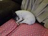 Filename=20201213_015.jpg
Filesize=435KiB
Dimensions=2048x1536
Date added=May 23, 2021 20201213_015.jpg