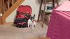 Filename=20201213_016.jpg
Filesize=333KiB
Dimensions=2048x1152
Date added=May 23, 2021 20201213_016.jpg