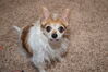 Filename=20201225_018.jpg
Filesize=367KiB
Dimensions=2047x1360
Date added=May 23, 2021 20201225_018.jpg
