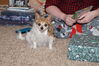 Filename=20201225_024.jpg
Filesize=538KiB
Dimensions=2047x1360
Date added=May 23, 2021 20201225_024.jpg