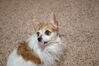Filename=20201225_028.jpg
Filesize=417KiB
Dimensions=2047x1360
Date added=May 23, 2021 20201225_028.jpg