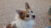 Filename=20201225_047.jpg
Filesize=534KiB
Dimensions=2048x1152
Date added=May 23, 2021 20201225_047.jpg